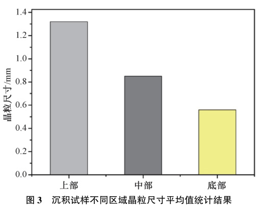 1729243104505975.jpg t3.jpg