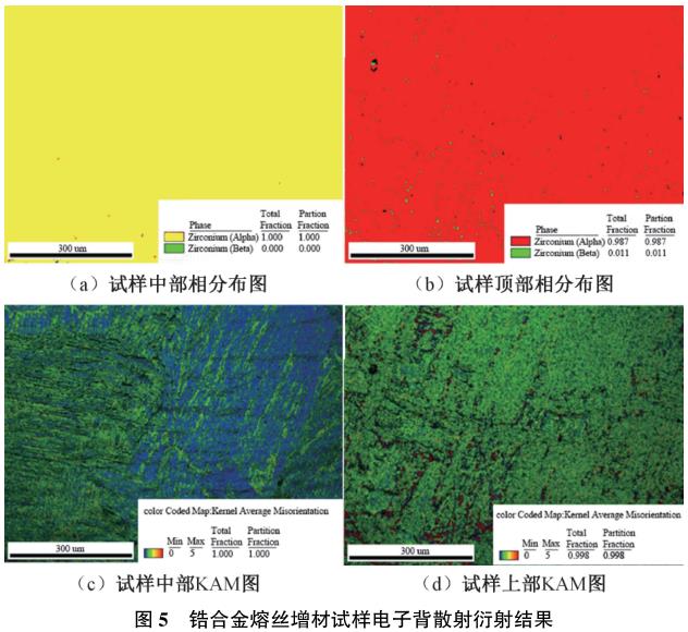 1729243124271022.jpg t5.jpg