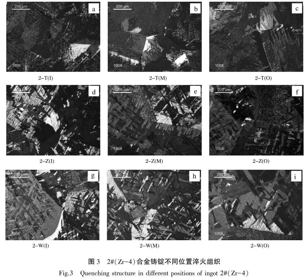 1735309106580965.jpg 3.jpg